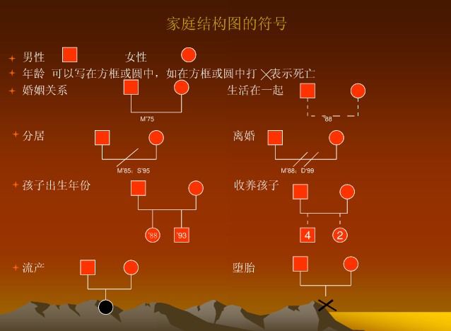 社会工作中家庭评估的常用方法——家庭结构图